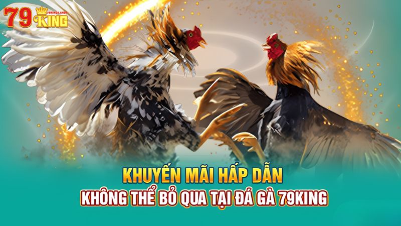 Khuyến mãi cực khủng không thể bỏ qua tại đá gà 79King9