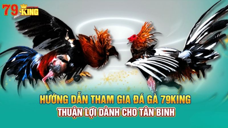 Hướng dẫn tham gia đá gà 79King9