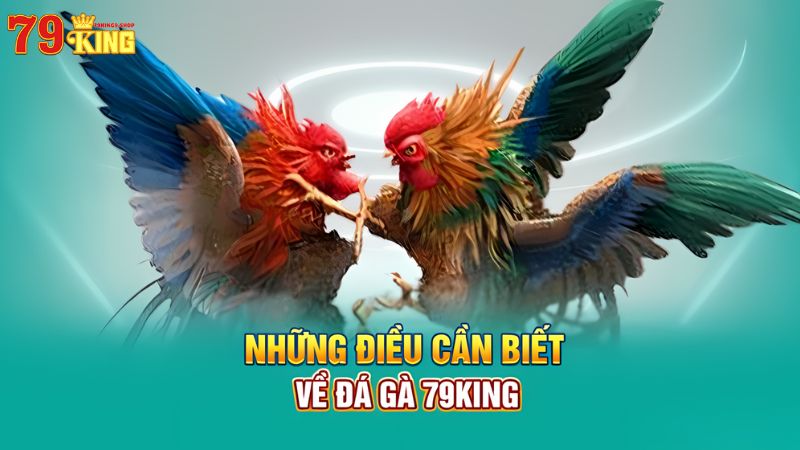 Đá Gà 79King9: Đa Dạng Thể Loại và Trải Nghiệm Đẳng Cấp